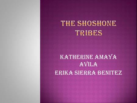 KATHERINE AMAYA AVILA ERIKA SIERRA BENITEZ  They Were a nomadic people (Montana, Idaho, Utah, Arizona, and Nevada).  The shoshone, or Shoshone, which.