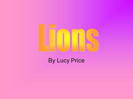 By Lucy Price A lion is a mammal in the cat family. They are a predator to most animals that live in the grasslands. A lion has tan fur (the males have.