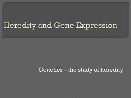 Genetics – the study of heredity. At the end of this topic you should be able to 1. Discuss the variation and diversity of organisms 2. Define the term.