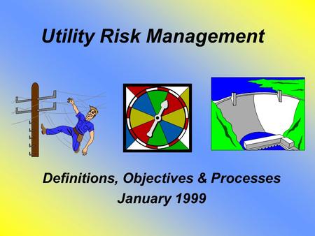 Utility Risk Management Definitions, Objectives & Processes January 1999.