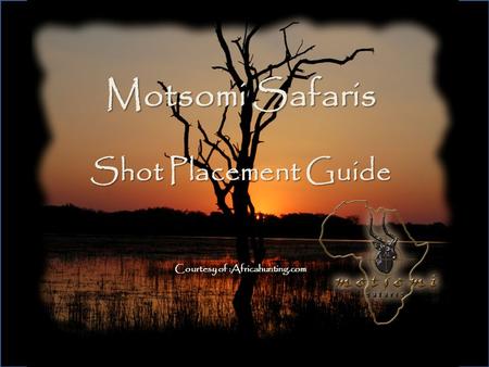 Motsomi Safaris Shot Placement Guide Courtesy of :Africahunting.com