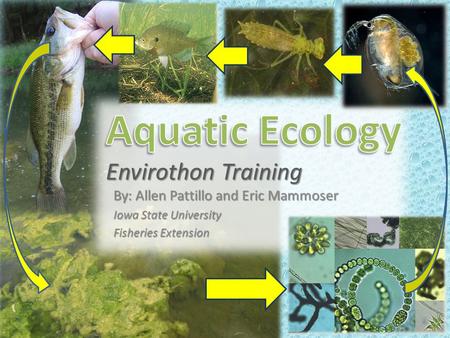 By: Allen Pattillo and Eric Mammoser Iowa State University Fisheries Extension.