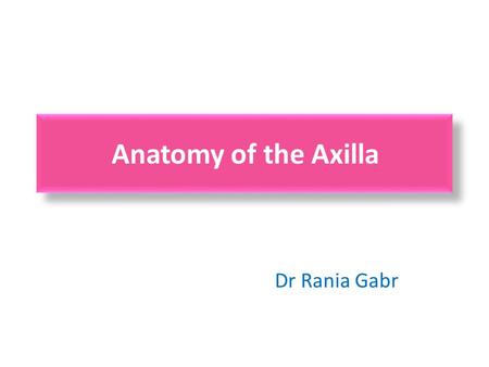 Anatomy of the Axilla Dr Rania Gabr.