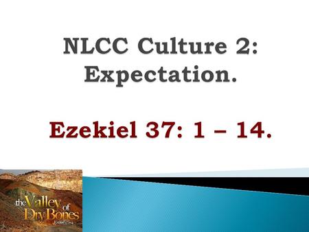  We are thinking about the culture of the church  PARTICIPATION &  EXPECTATION.