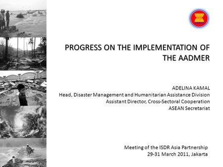 PROGRESS ON THE IMPLEMENTATION OF THE AADMER