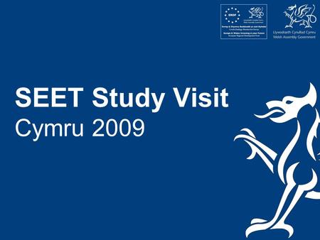 SEET Study Visit Cymru 2009. Elin McCallum Enterprise Education Manager Welsh Assembly Government.