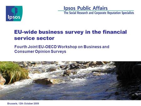 Fourth Joint EU-OECD Workshop on Business and Consumer Opinion Surveys EU-wide business survey in the financial service sector Brussels, 12th October 2009.