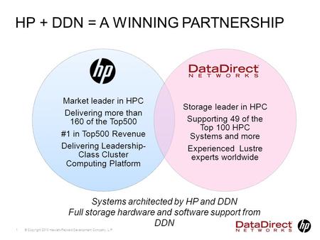 © Copyright 2010 Hewlett-Packard Development Company, L.P. 1 HP + DDN = A WINNING PARTNERSHIP Systems architected by HP and DDN Full storage hardware and.