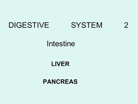 DIGESTIVE SYSTEM 2 Intestine