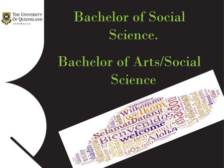 Bachelor of Social Science. Bachelor of Arts/Social Science.