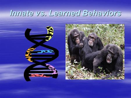 Innate vs. Learned Behaviors   com/biology/animalbeh avior/learning/problem s_1.html.