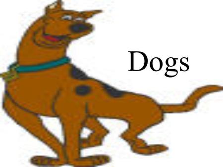 Dogs. Dog Terminology Male Dog- Dog Female Dog- Bitch Young Dog- Pup Group of Dogs- Pack Act of a dog given birth- Whelping.