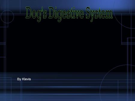 Dog's Digestive System By Klevis.