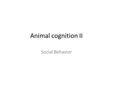 Animal cognition II Social Behavior.