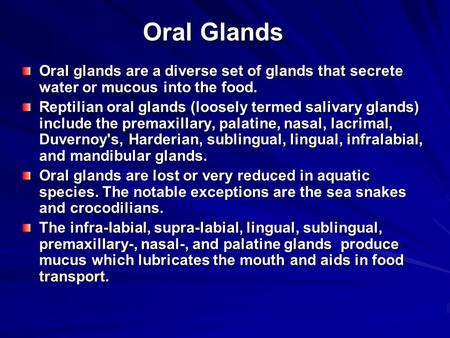 Oral Glands Oral glands are a diverse set of glands that secrete water or mucous into the food. Reptilian oral glands (loosely termed salivary glands)