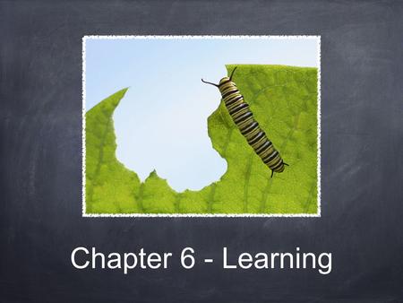 Chapter 6 - Learning.