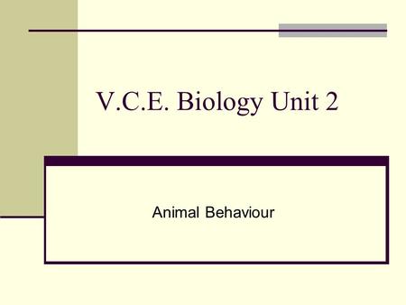 V.C.E. Biology Unit 2 Animal Behaviour. What is behaviour? Individual behaviours are those related to the movement of an animal or its physiology. Such.