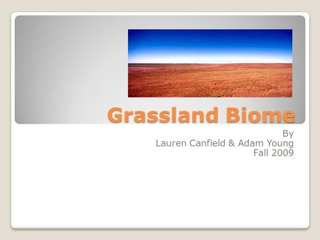 Grassland Biome By Lauren Canfield & Adam Young Fall 2009.