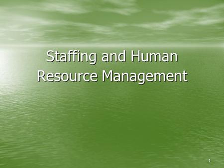 1 Staffing and Human Resource Management. 2 Learning Outcomes Describe the human resource management process Discuss the influence government regulations.