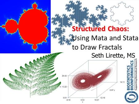 Structured Chaos: Using Mata and Stata to Draw Fractals