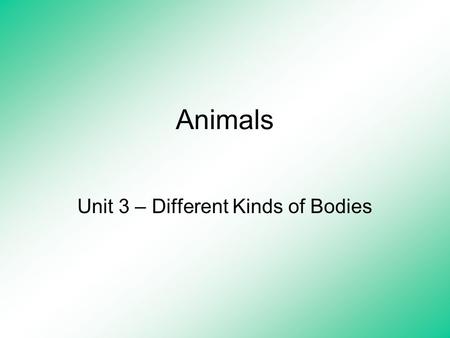 Animals Unit 3 – Different Kinds of Bodies. Content Learning Goal Students will learn how different animals breathe, eat and survive.