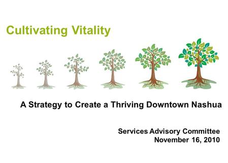 Cultivating Vitality Services Advisory Committee November 16, 2010 A Strategy to Create a Thriving Downtown Nashua.