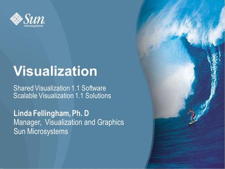 Visualization Linda Fellingham, Ph. D Manager, Visualization and Graphics Sun Microsystems Shared Visualization 1.1 Software Scalable Visualization 1.1.