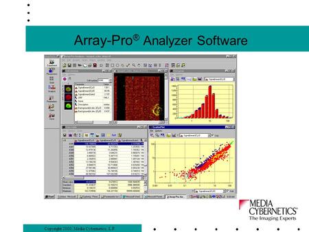 Copyright 2000, Media Cybernetics, L.P. Array-Pro ® Analyzer Software.