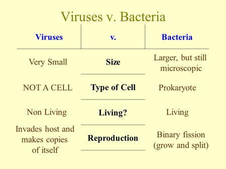 Viruses v. Bacteria Virusesv.Bacteria Size Type of Cell Living? Reproduction Very Small Larger, but still microscopic NOT A CELLProkaryote Non LivingLiving.