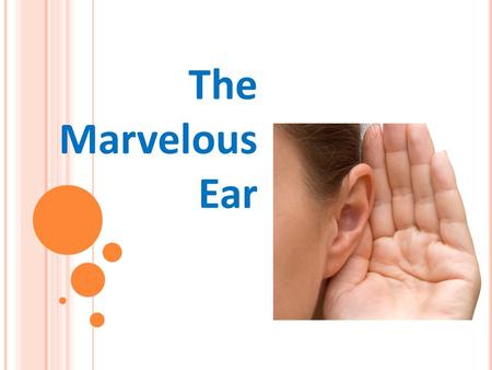 The Marvelous Ear The Marvelous Ear Presentation