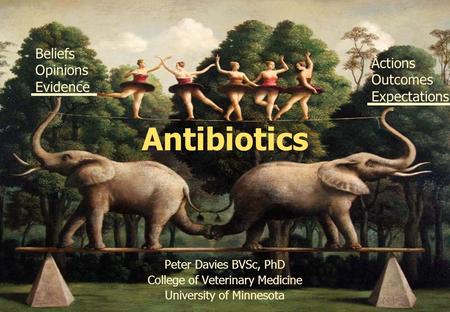 Antibiotics Peter Davies BVSc, PhD College of Veterinary Medicine University of Minnesota Beliefs Opinions Evidence Actions Outcomes Expectations.