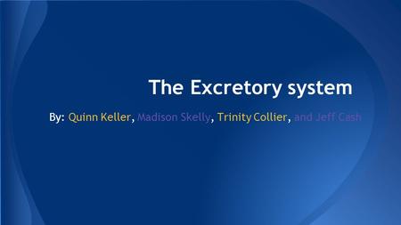 The Excretory system By: Quinn Keller, Madison Skelly, Trinity Collier, and Jeff Cash.