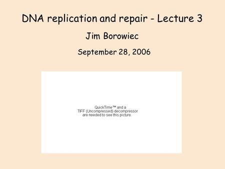 DNA replication and repair - Lecture 3 Jim Borowiec September 28, 2006.