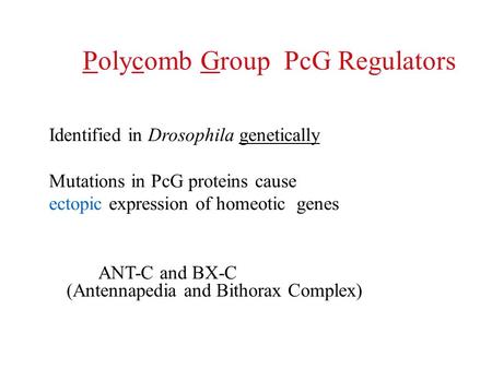 Polycomb Group PcG Regulators Identified in Drosophila genetically Mutations in PcG proteins cause ectopic expression of homeotic genes ANT-C and BX-C.