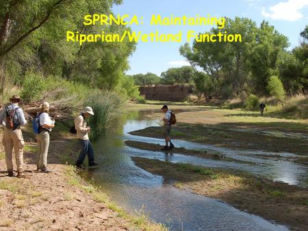SPRNCA: Maintaining Riparian/Wetland Function. What does that mean today? Isn’t SPRNCA already “protected and enhanced?” When will it be “good enough”?