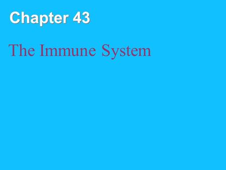 Chapter 43 The Immune System.