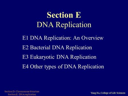 Section D: Chromosome Structure Section E: DNA replication Yang Xu, College of Life Sciences Section E DNA Replication E1 DNA Replication: An Overview.