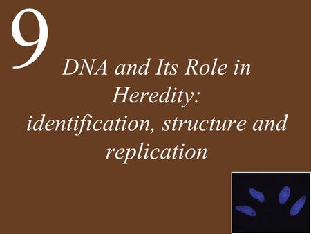 9 DNA and Its Role in Heredity: identification, structure and replication.
