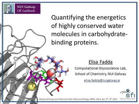 Quantifying the energetics of highly conserved water molecules in carbohydrate- binding proteins. Elisa Fadda Computational Glycoscience Lab, School of.