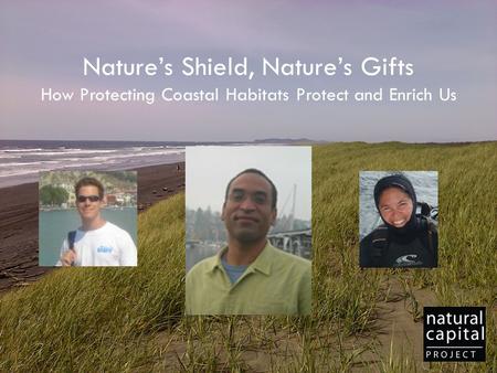 Nature’s Shield, Nature’s Gifts How Protecting Coastal Habitats Protect and Enrich Us.