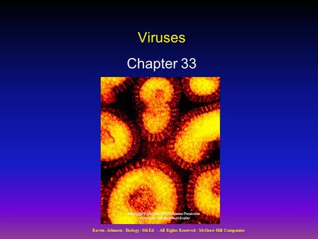 Viruses Chapter 33 Copyright © McGraw-Hill Companies Permission