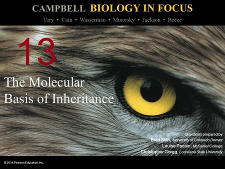 CAMPBELL BIOLOGY IN FOCUS © 2014 Pearson Education, Inc. Urry Cain Wasserman Minorsky Jackson Reece 13 The Molecular Basis of Inheritance Questions prepared.