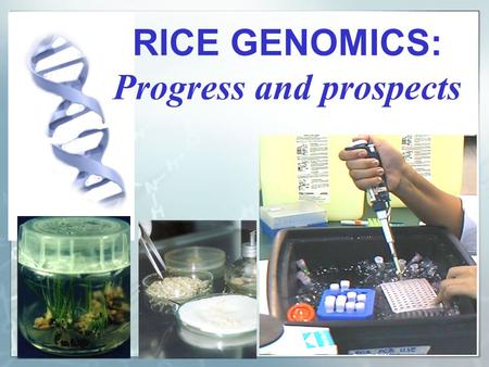 RICE GENOMICS: Progress and prospects. What is genomics?  The genome of a plant, animal or microbe is the totality of its genetic information including.