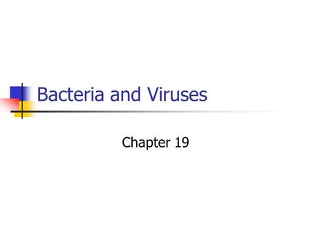Bacteria and Viruses Chapter 19. Classification Kingdom…Moneran Domain a) Euchaea b) Bacteria.