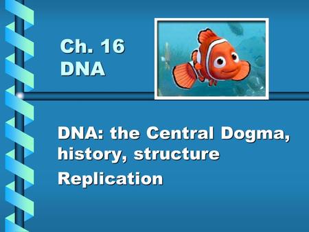 Ch. 16 DNA DNA: the Central Dogma, history, structure Replication.