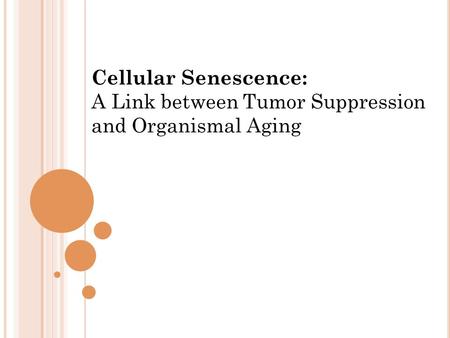 Cellular Senescence: A Link between Tumor Suppression and Organismal Aging.