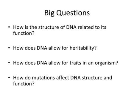 Big Questions How is the structure of DNA related to its function?