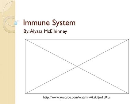Immune System By: Alyssa McElhinney