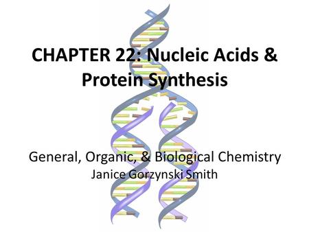 CHAPTER 22: Nucleic Acids & Protein Synthesis