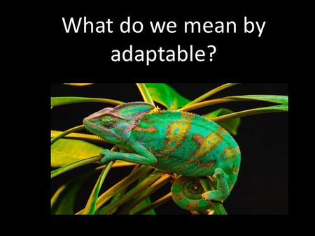 What do we mean by adaptable?